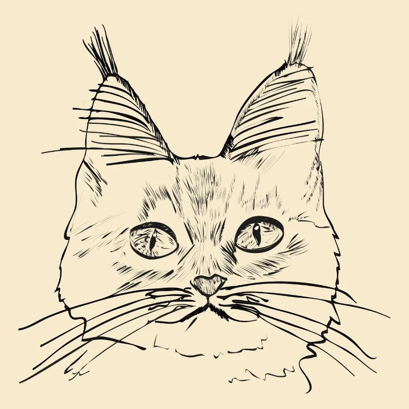 Chat de race