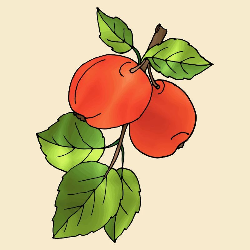 Apples