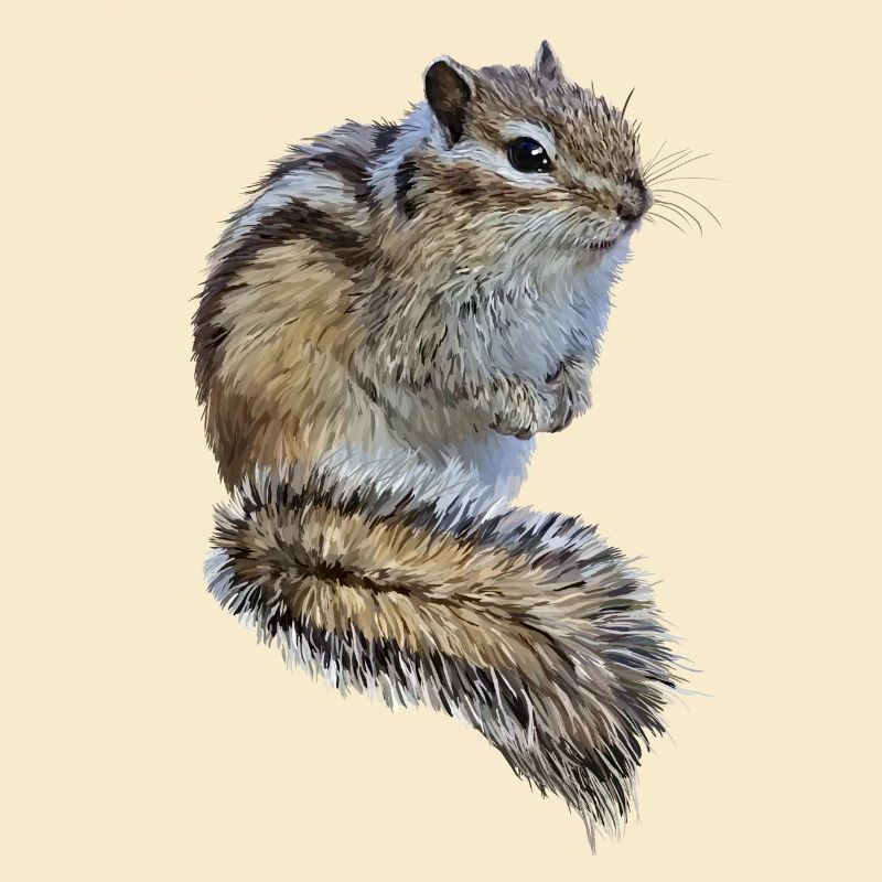 chipmunk