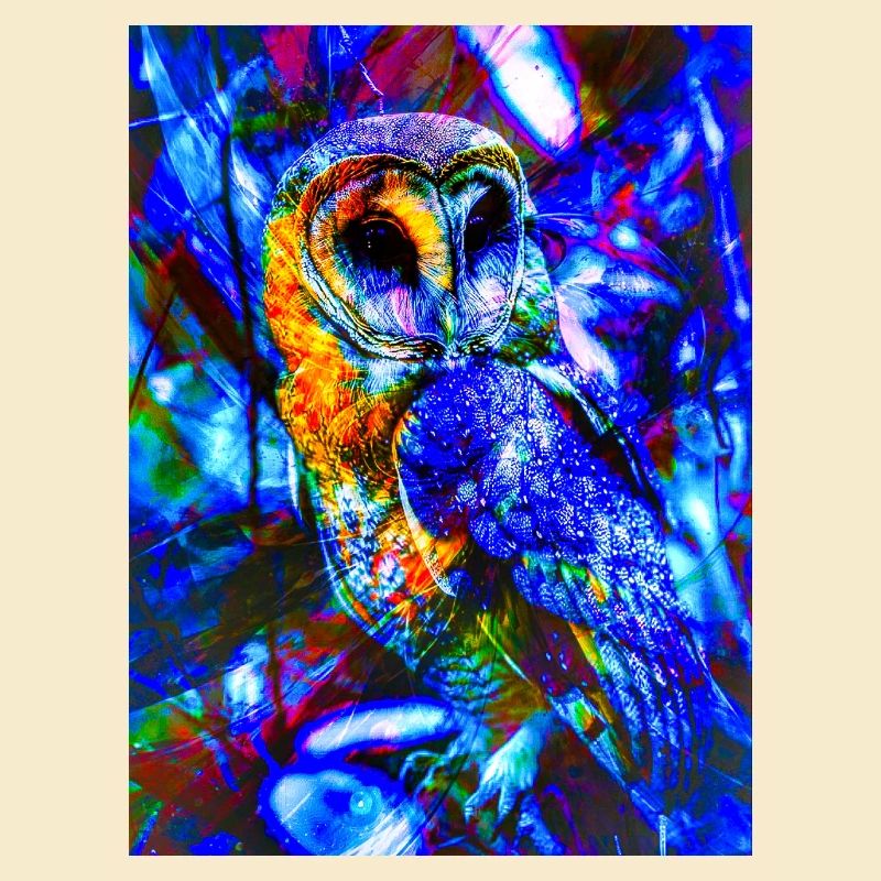Neon Owl in Psychedelic Light