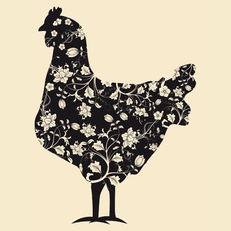 Fans de poulet - Coq - Coq - Poulet fleur - Bio