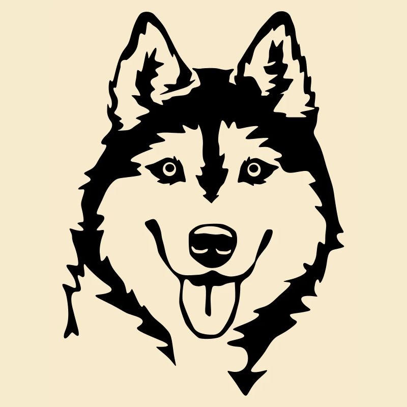 Tête de Husky