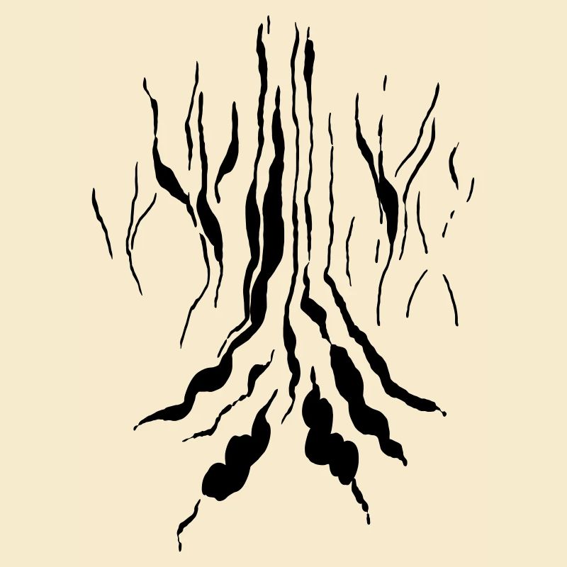 Magic forest