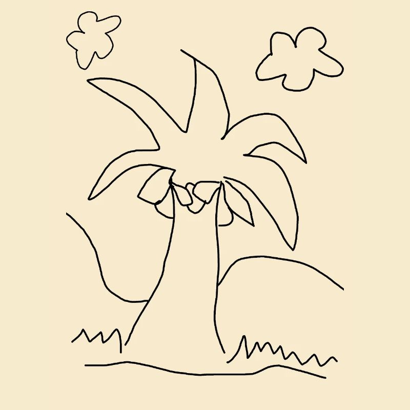 cocotier