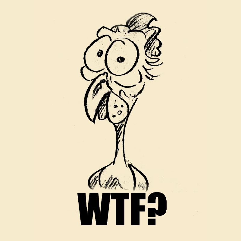 C’est quoi ce bordel ? Chicken Head - Mème comique drôle