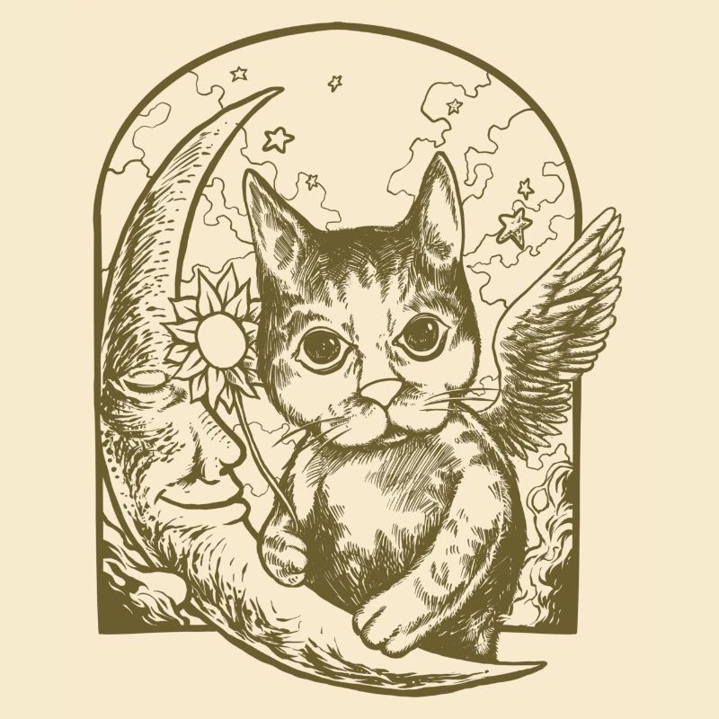 Chat céleste et lune ailée
