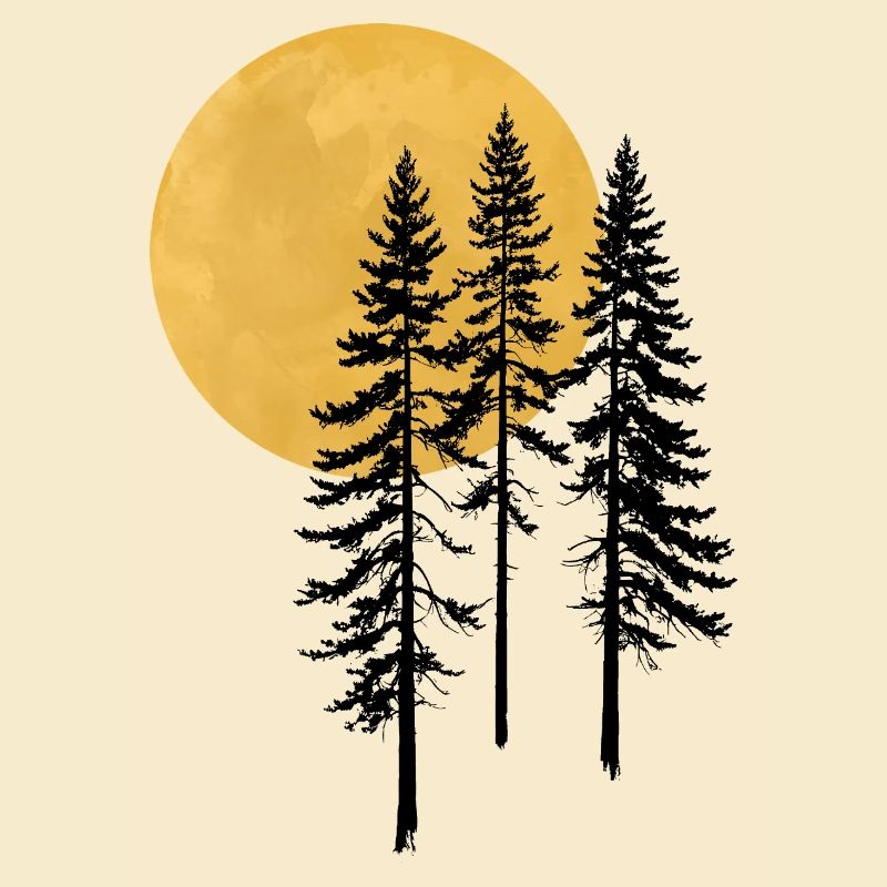 Sunset Pine Silhouette