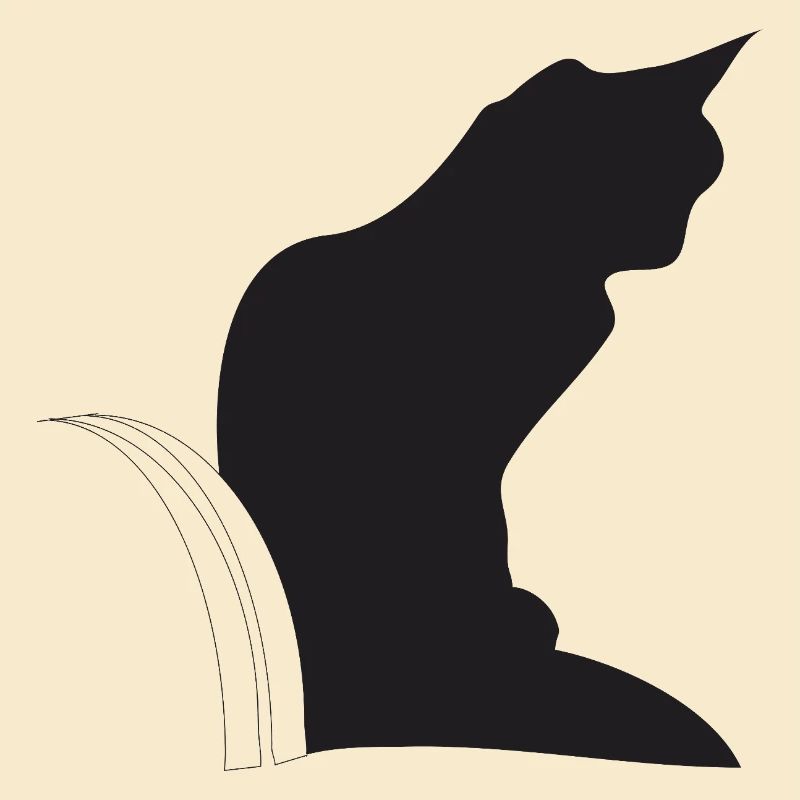Nemo, schwarze Katz im Keller