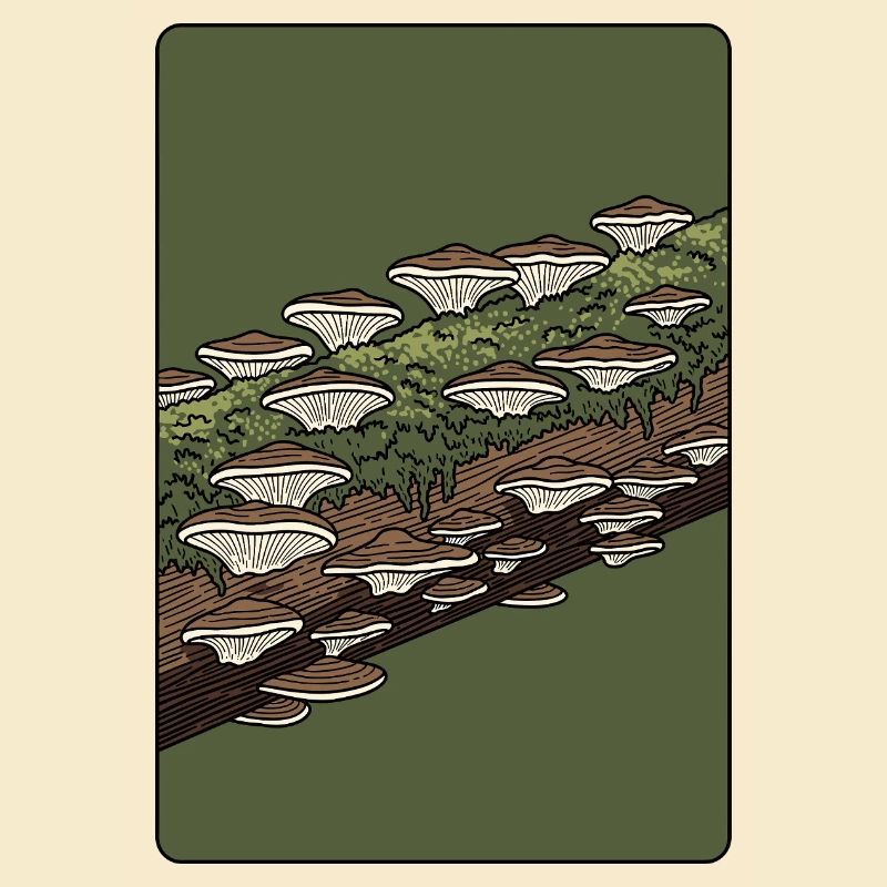 Champignons des bois sur tronc mousseux
