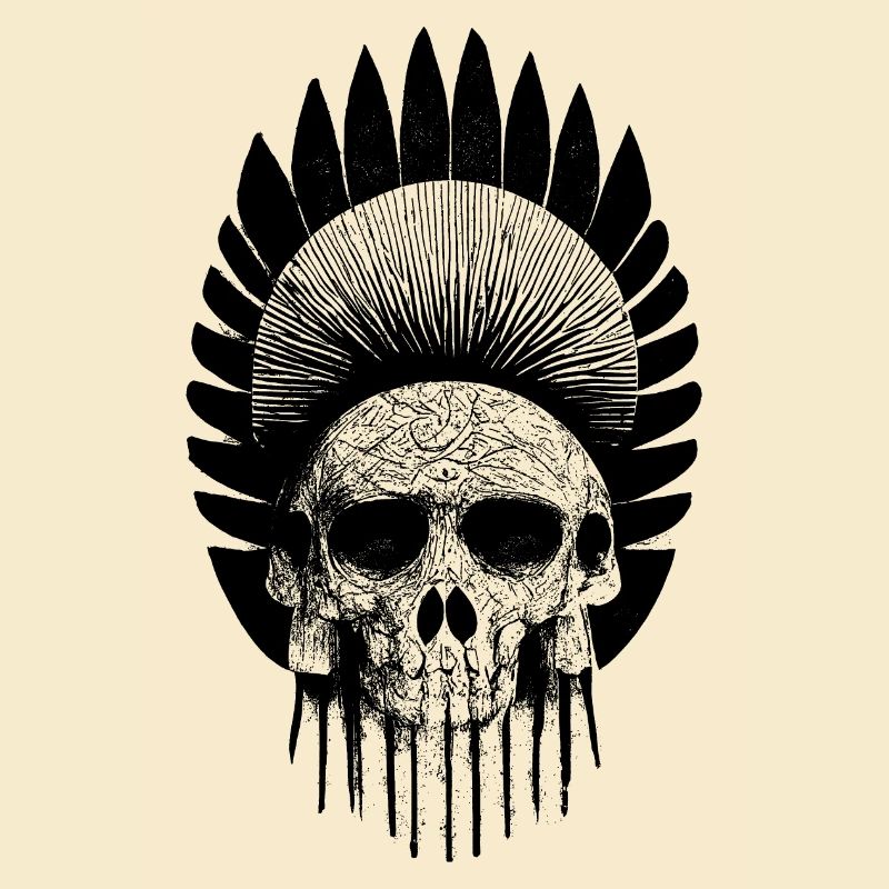 Crâne Avec Coiffe Indienne