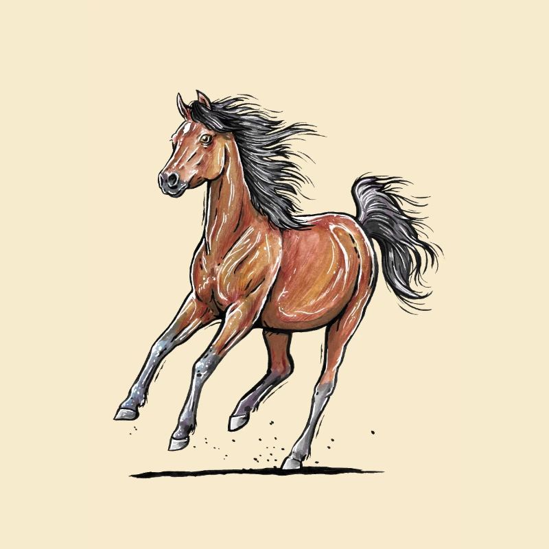 Galop de cheval brun