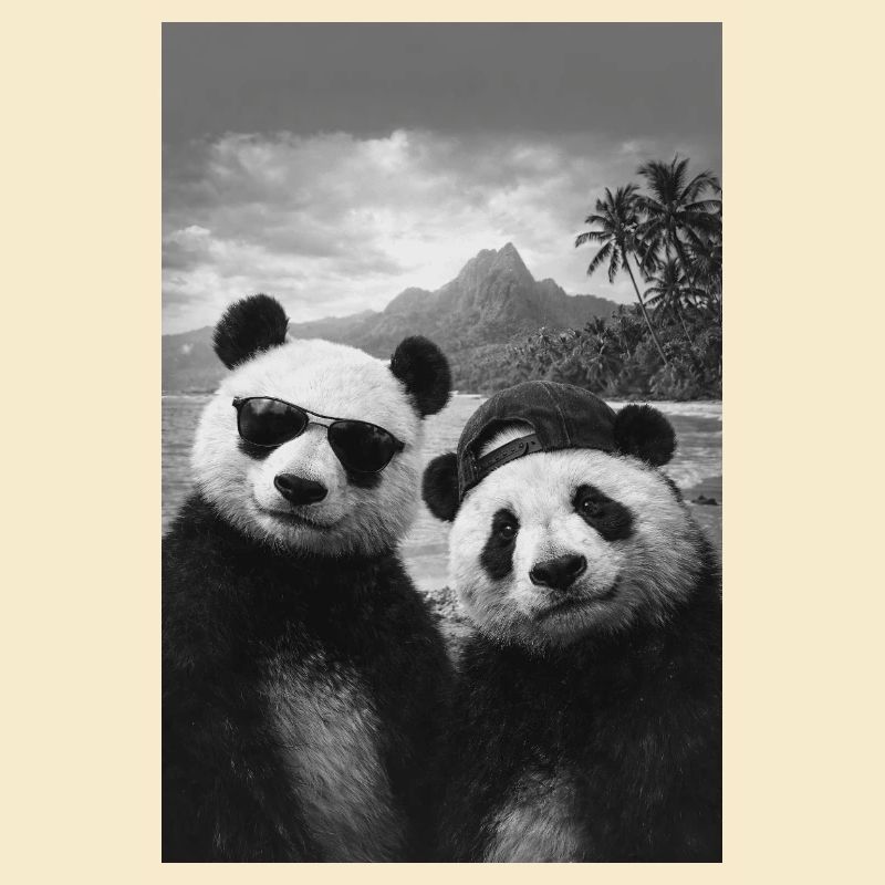 Panda-Duo am Strand mit Sonnenbrille