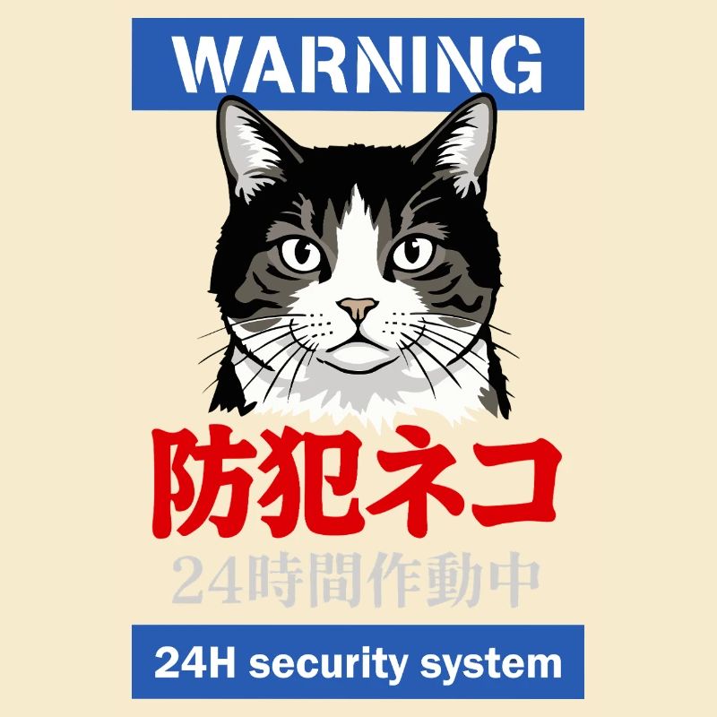 24h Security System
