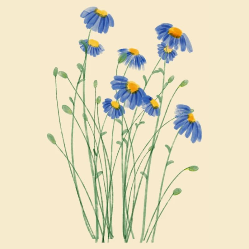 Prairie de fleurs sauvages dans le style de l’aquarelle
