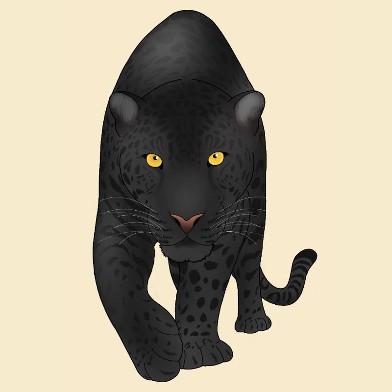 Panthère de minuit, Gros chat