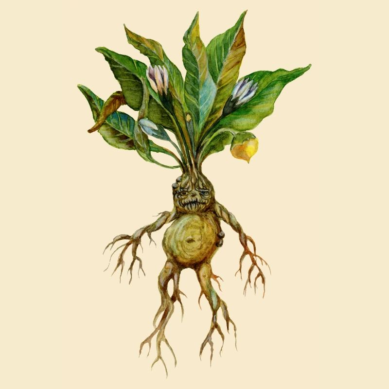 Grim Root Creature Fantasy Design