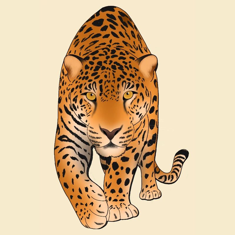Leopard Big Cat 