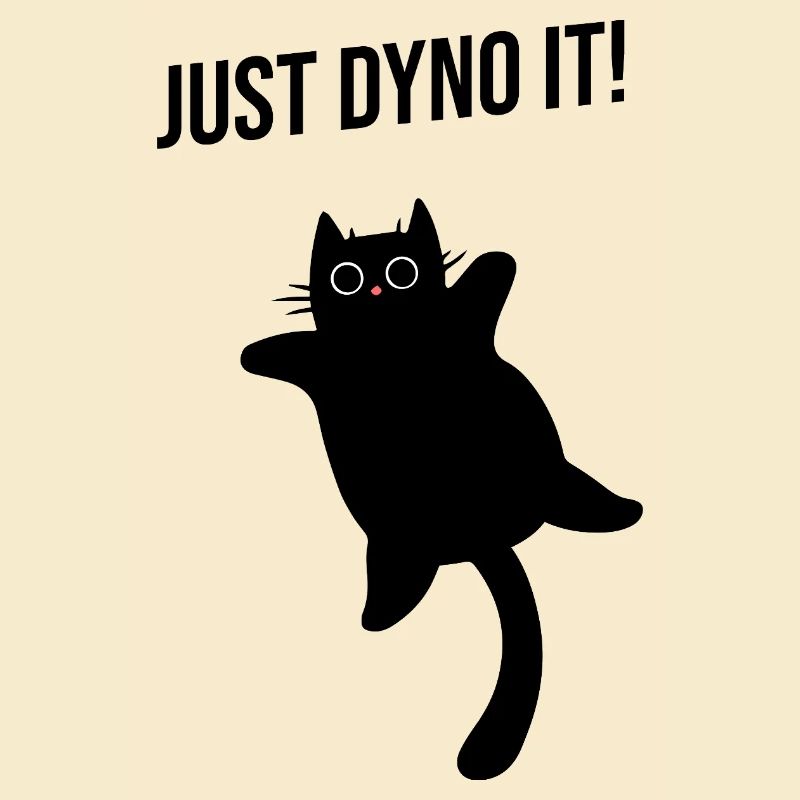 Cat climbs dynamically climbing route Dyno boulder