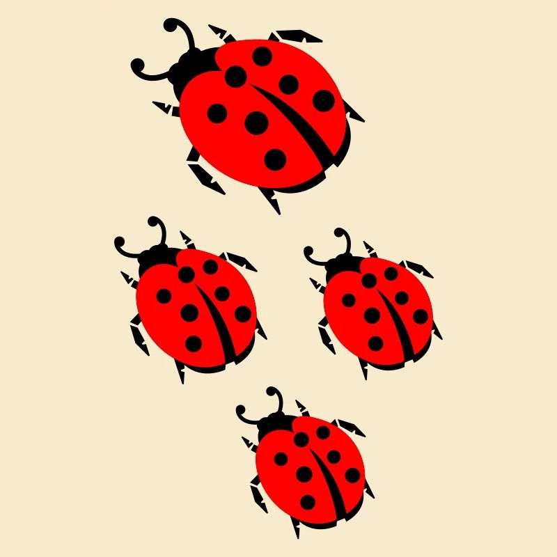 ladybug marienkaefer