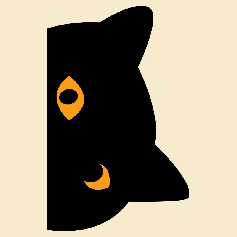 Chat noir