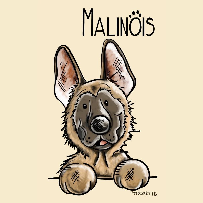 Süßer Malinois