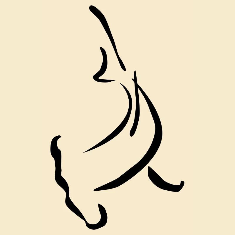 Forme de la tête de marteau