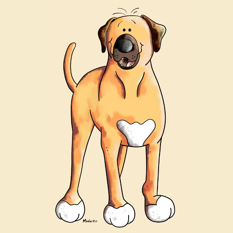 Baxter der Broholmer
