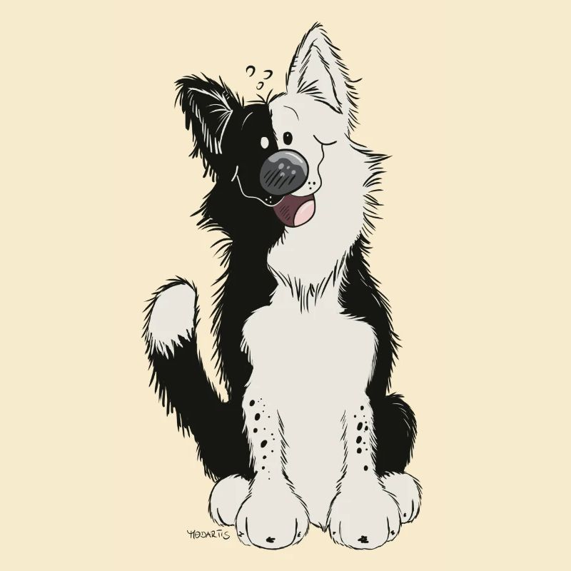 Cute Border Collie