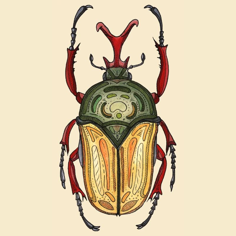 Big Stag - Coléoptère cerf géant
