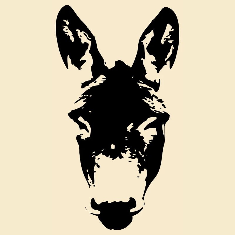 Donkey