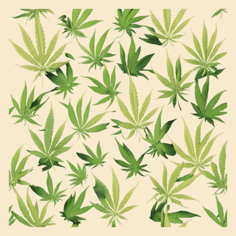 Cannabis 2