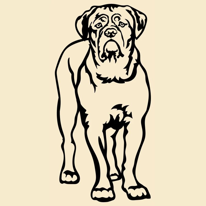 Dogue de Bordeaux
