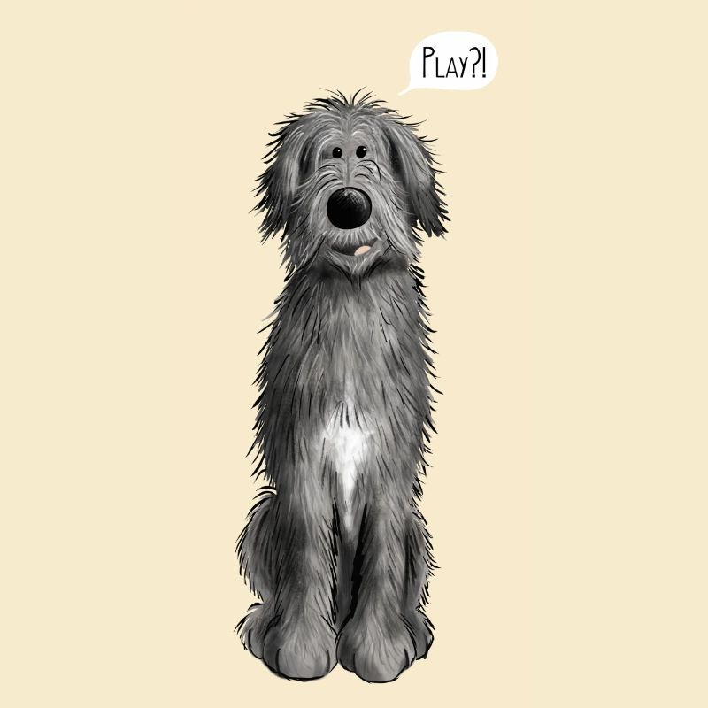Wolfhound irlandais