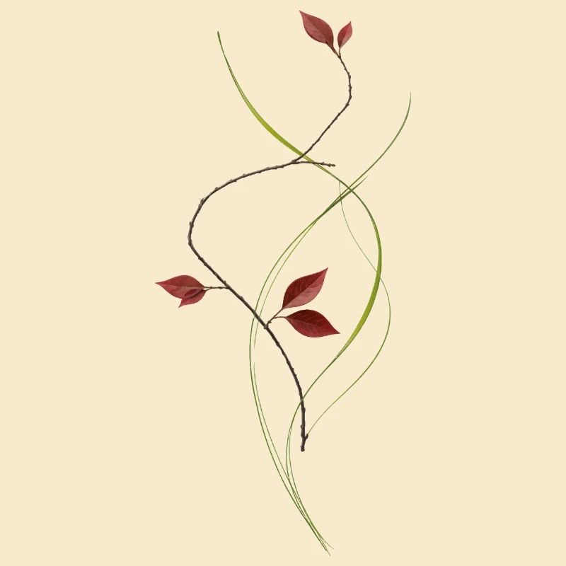 Minimalistischer Ast im Ikebana Stil elegant 