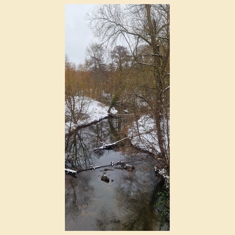 Rivière d’hiver dans le brouillard