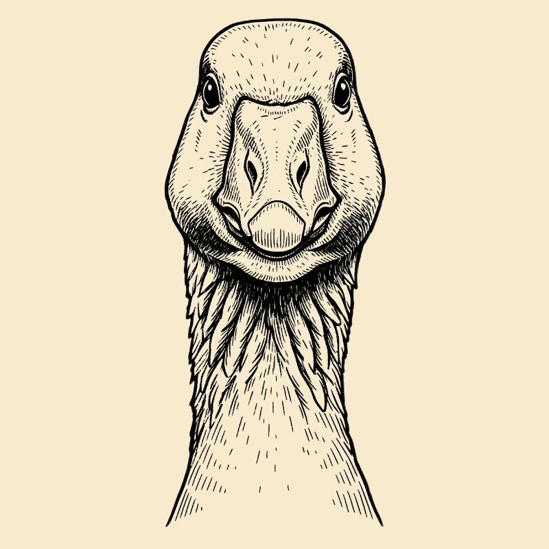 Goose