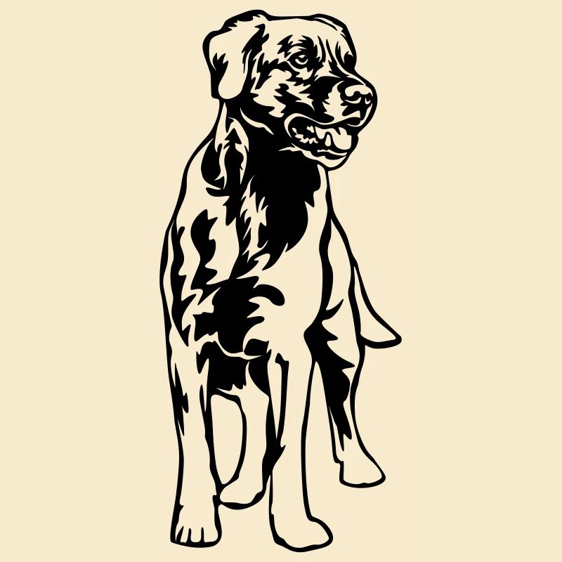 Labrador