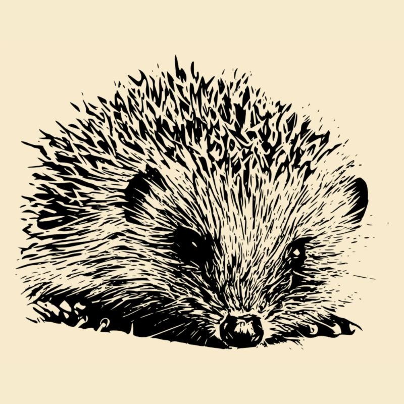 Hedgehog
