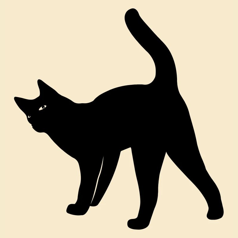 Cat cat
