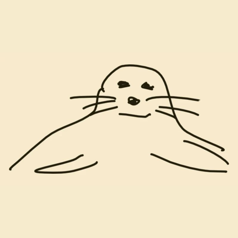 phoques phoques phoques animaux