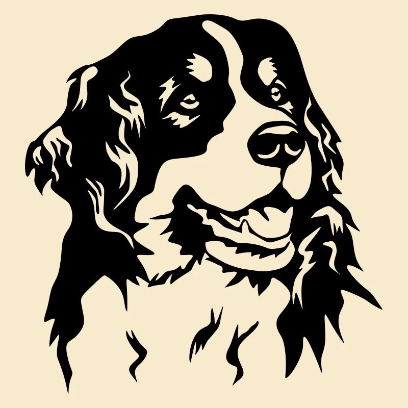 Berner Sennenhund Kopf