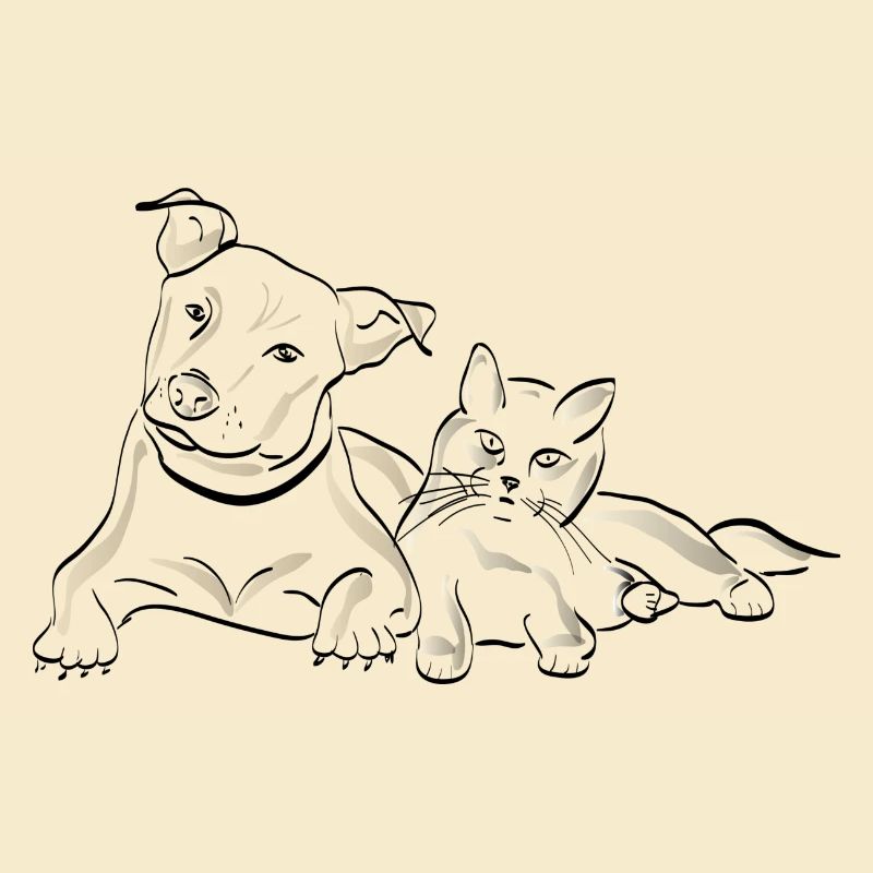 Katze Hund