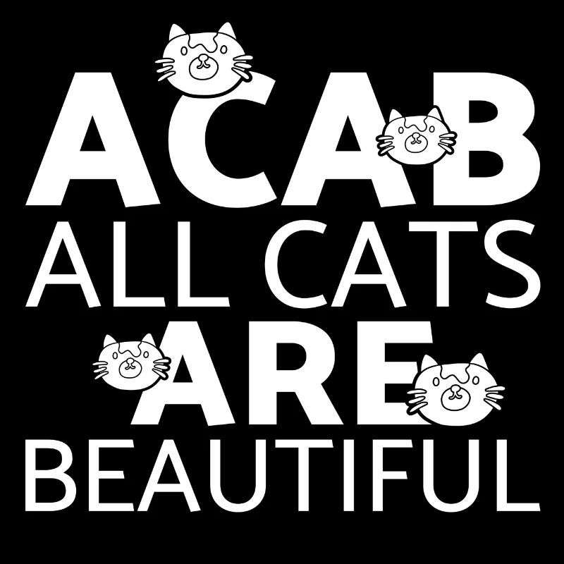 Chat chaton miaou chat domestique oeil de chat