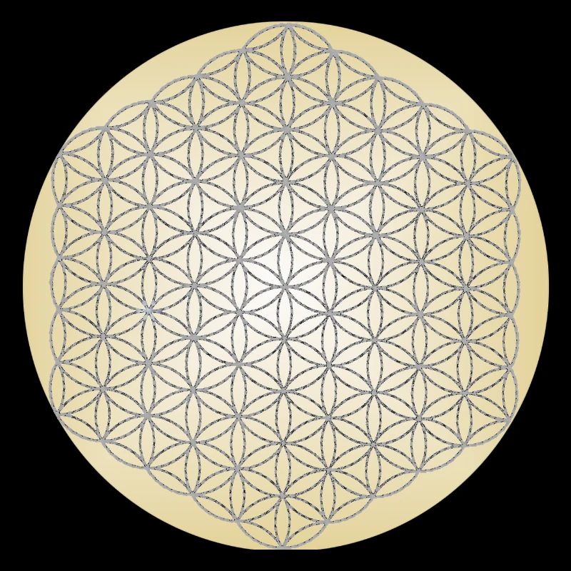 Blume des Lebens Silber - 5. Dimension - Mandala