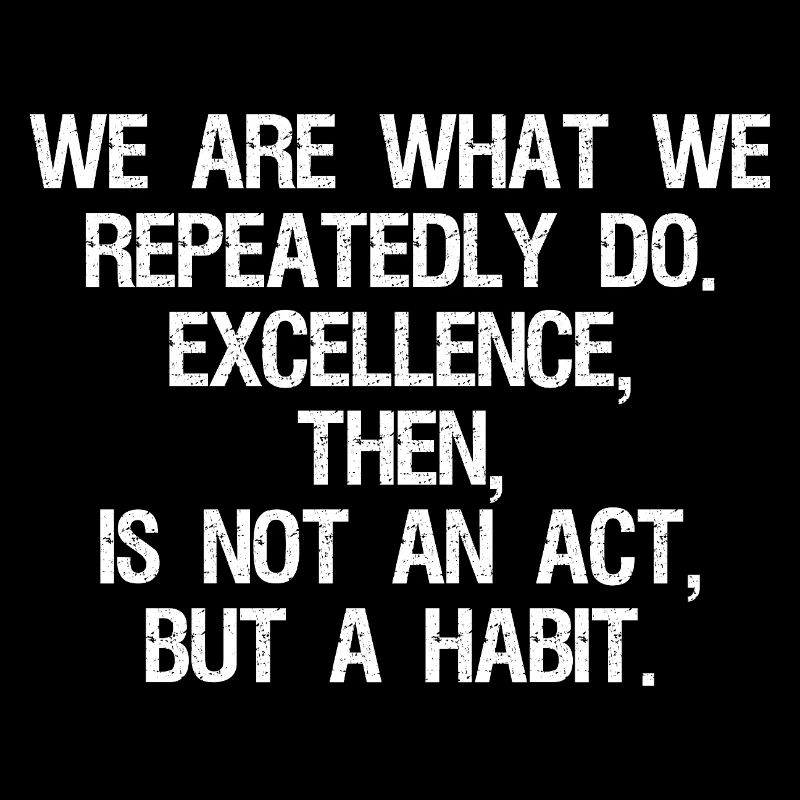 we are what we repeatedly do excellence then is