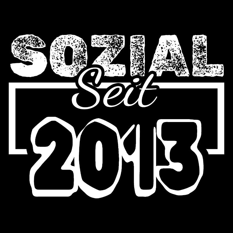 seit 2013