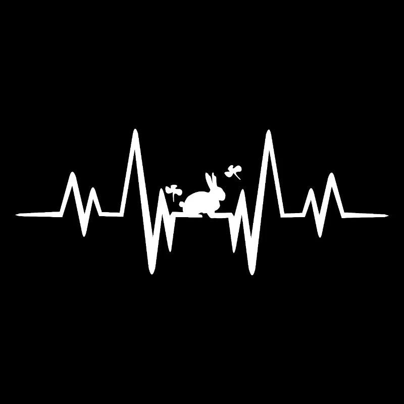 Rabbit heartbeat