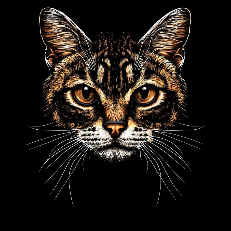 Chat Bengal Chat Léopard Chat Leopardette Chats Bengale