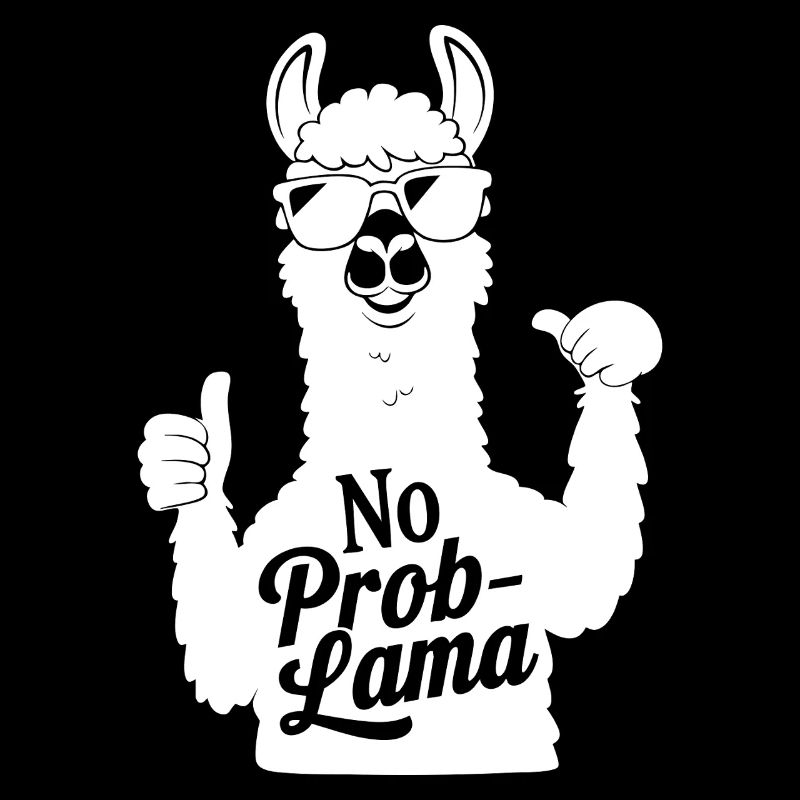 Pas de problèmeLlama Drôle Lama Jeu de mots Animal mignon