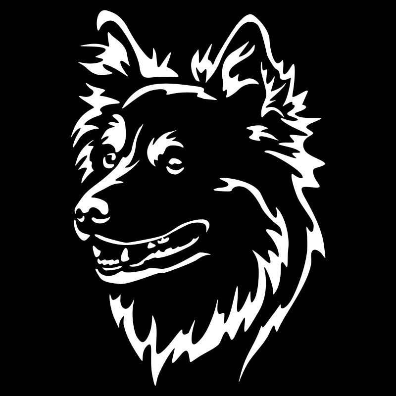 Islandspitz Kopf "Black Edition"